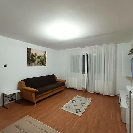 Apartament Alis2011 Bodzavásár Kültér fotó