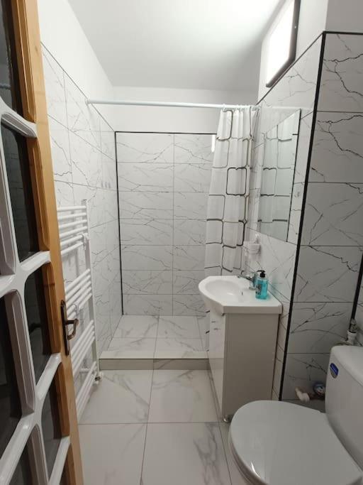 Apartament Alis2011 Bodzavásár Kültér fotó
